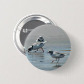 Leidingplovers die op het strand eten ronde button 5,7 cm (Voorkant /achterkant)