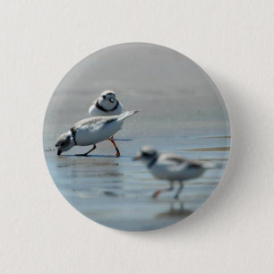 Leidingplovers die op het strand eten ronde button 5,7 cm