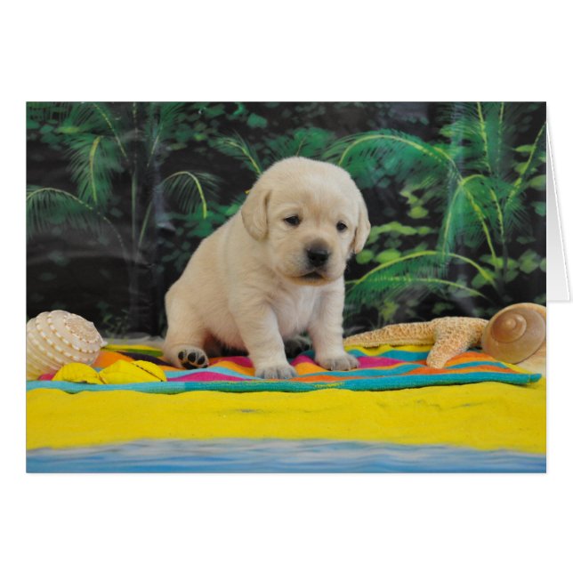 Leigh Ann week 2 (Voorkant Horizontaal)