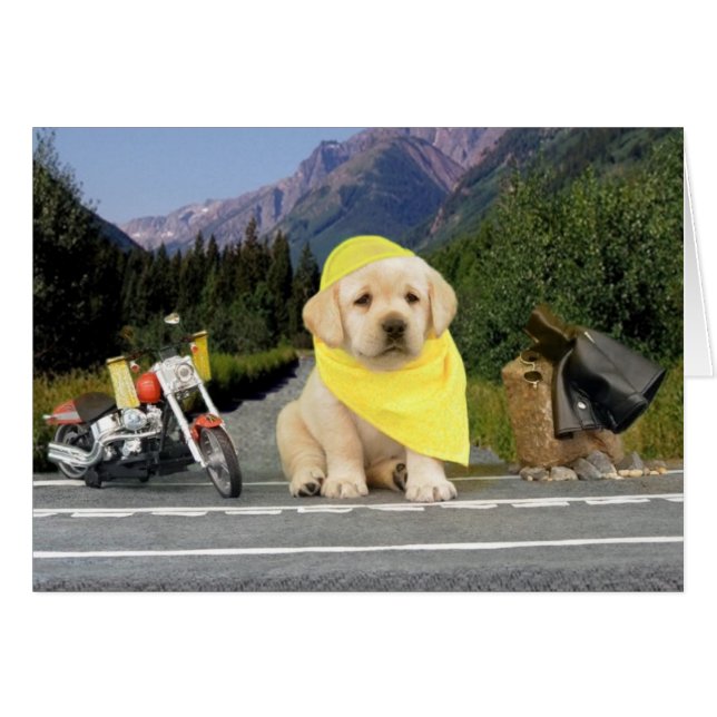 Leigh Ann week 5 (Voorkant Horizontaal)