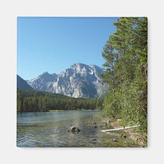 Leigh Lake in het nationaal park Grand Teton Magneet (Voorkant)