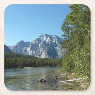 Leighmeer in Grand Teton National Park Kartonnen Onderzetters