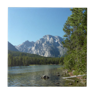 Leighmeer in Grand Teton National Park Tegeltje
