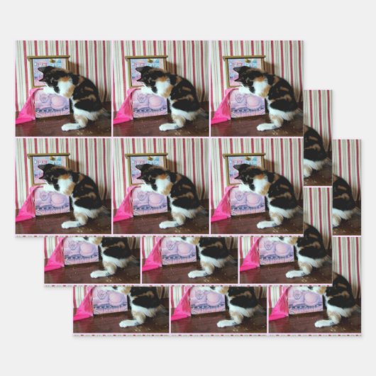 Leilani's Wardrobe - All Occasion Inpakpapier Vel (Set)