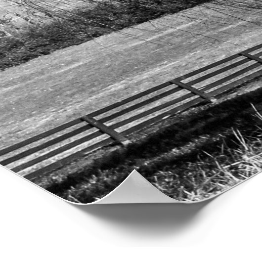 Leipers Boom Poster (Hoek)