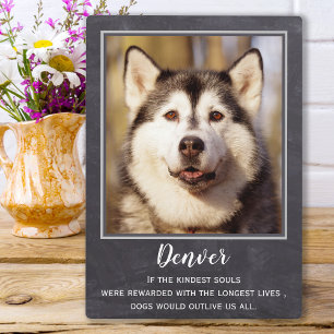 Leisteen huisdier herdenking hond liefhebber aande fotoplaat