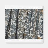 leisteen magneet (Voorkant)