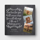 Leisteen Ontbrekend stuk Foto Collage Pet Memorial Fotoplaat (Voorkant)