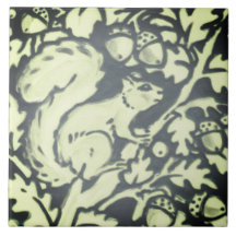 Leistgrijze groene eekhoorn Acorn Woodland Natuur