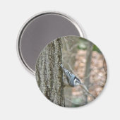 Leistgrijze Nuthatch Songbird Coordinated Items Magneet (Voorkant / Achterkant)