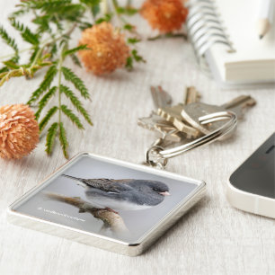 Leistkleurige, donkergekleurde Junco-spaart op per Sleutelhanger