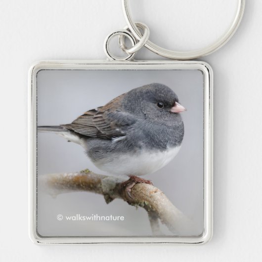 Leistkleurige, donkergekleurde Junco-spaart op per Sleutelhanger (Voorkant)