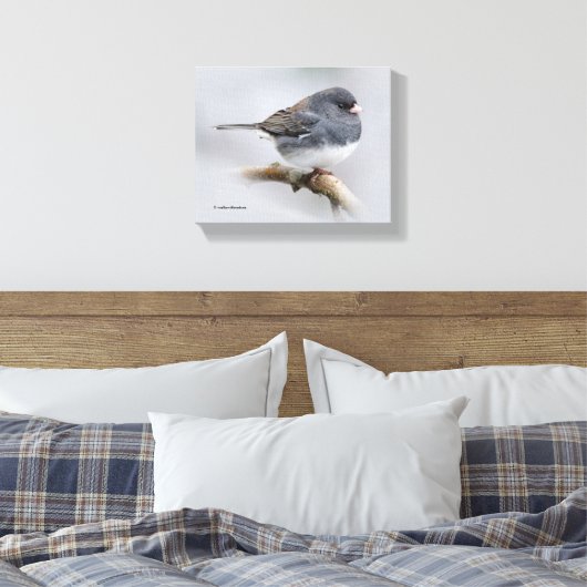 Leistkleurige donkergeoogste Junco op de perenboom Canvas Afdruk (Insitu (Slaapkamer))