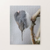 Leistkleurige donkergeoogste Junco op de perenboom Legpuzzel (Verticaal)