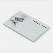 Leistkleurige donkergeoogste Junco op de perenboom Post-it® Notes (Schuin)