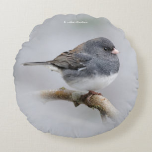 Leistkleurige donkergeoogste Junco op de perenboom Rond Kussen