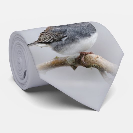 Leistkleurige donkergeoogste Junco op de perenboom Stropdas (Opgerold)