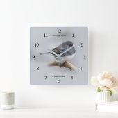 Leistkleurige donkergeoogste Junco op de perenboom Vierkante Klok (Huis)