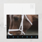 Leitone Briefkaart (Voorkant / Achterkant)