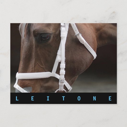 Leitone Briefkaart (Voorkant)