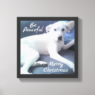 Lekke peaceful Cute White Dog Sitting with Dad Can Canvas Afdruk