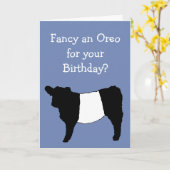 Lekker een Oreo? Belted Galloway Koe Kaart (Gele Bloem)