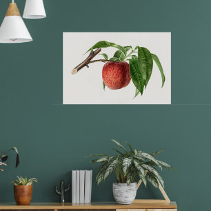 Lekkere perzik in een  aftakking poster