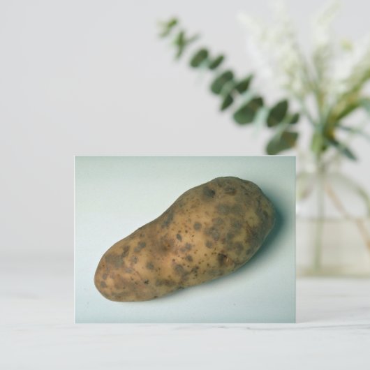 lekkernij briefkaart (Staand voorkant)