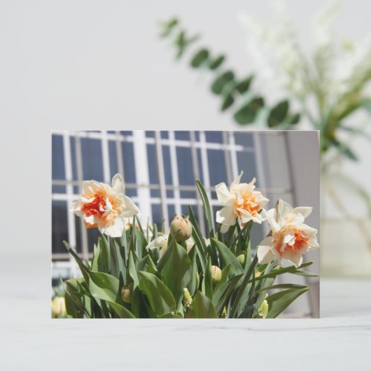 Lektige schattige veer (Staand voorkant)