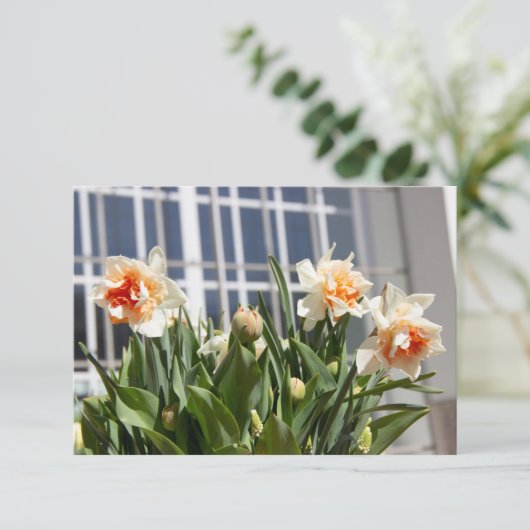 Lektige schattige veer (Staand voorkant)