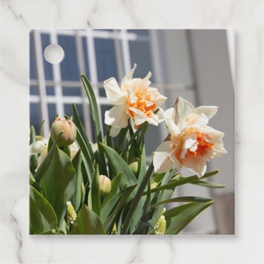 Lektige schattige veer bedankjes labels (Voorkant)