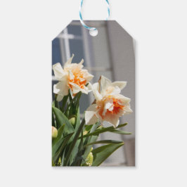 Lektige schattige veer cadeaulabel