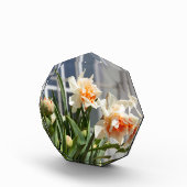 Lektige schattige veer fotoblokken (Rechts)