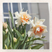 Lektige schattige veer glazen onderzetter (Voorkant)