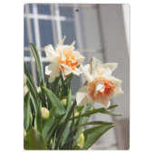 Lektige schattige veer klembord (Achterkant)