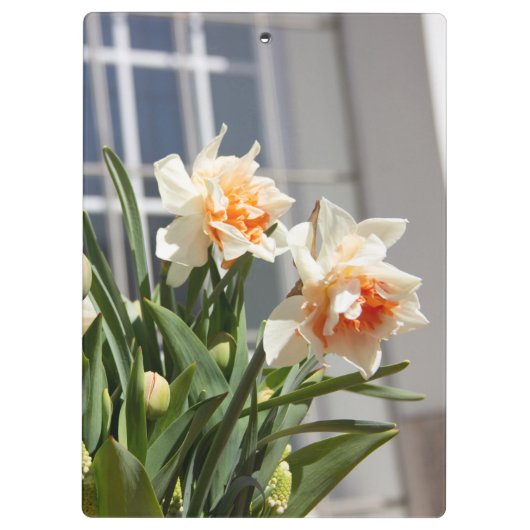 Lektige schattige veer klembord (Achterkant)