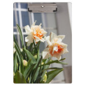 Lektige schattige veer klembord (Voorkant)