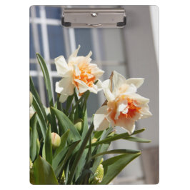 Lektige schattige veer klembord