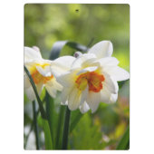 Lektige schattige veer klembord (Achterkant)