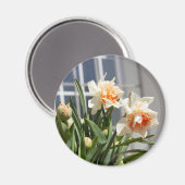 Lektige schattige veer magneet (Voorkant / Achterkant)