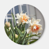 Lektige schattige veer magneet (Voorkant)