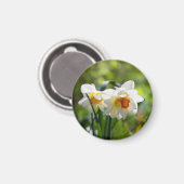 Lektige schattige veer magneet (Voorkant / Achterkant)