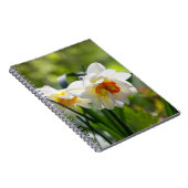 Lektige schattige veer notitieboek (Rechterzijde)