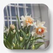 Lektige schattige veer papieren bordje (Voorkant)