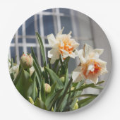 Lektige schattige veer papieren bordje (Voorkant)