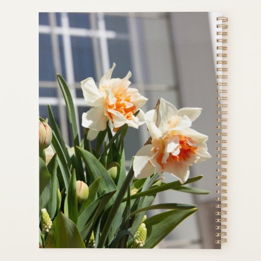 Lektige schattige veer planner (Achterkant)