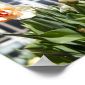 Lektige schattige veer poster (Hoek)