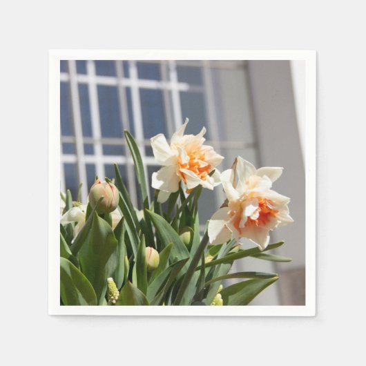 Lektige schattige veer servet (Voorkant)