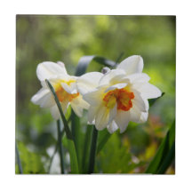 Lektige schattige veer