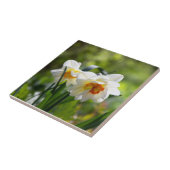 Lektige schattige veer tegeltje (Zijkant)